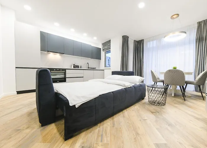 The Park Apartment Cluj-Napoca